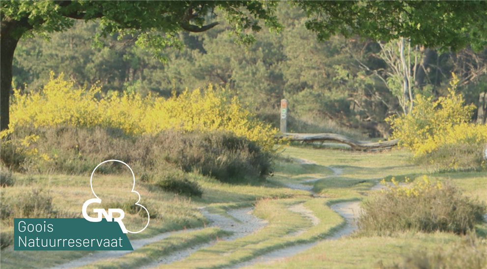 Bespreking Goois Natuur Reservaat beleidsplan 2024-2027